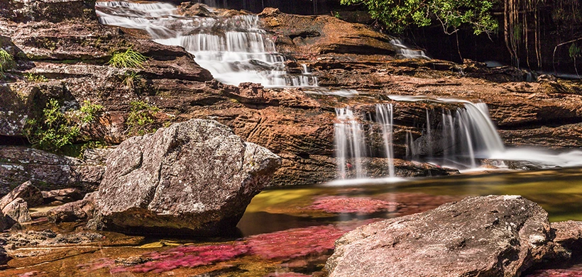 Caño Cristales, ubicado en los llanos orientales