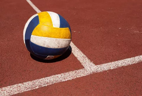 Pelota de voleibol