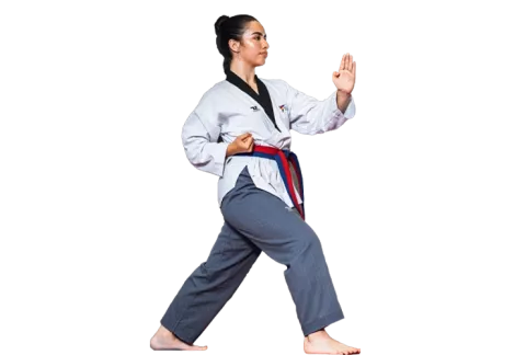 Recomendado del mes taekwondo