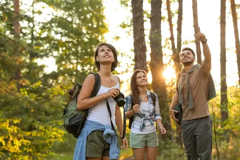 Personas haciendo fotografías al aire libre