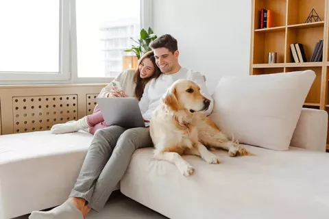 Pareja con perro viendo computador