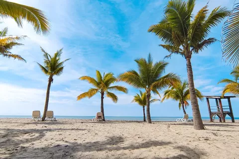 Playa, arena y palmeras hace parte de la oferta de Turismo Colsubsidio