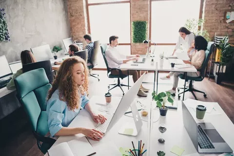 Equipo de trabajo realizan sus tareas