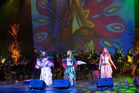 Grupo musical se presenta en el Teatro Colsubsidio 