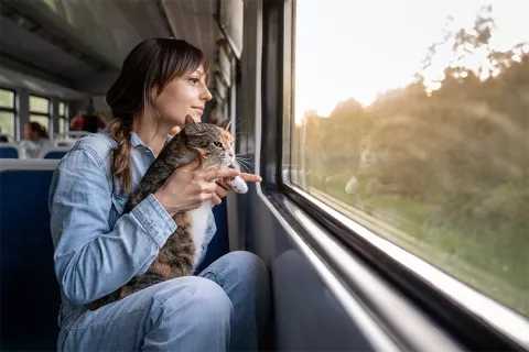 Mujer con un gato viendo por la ventana del transporte