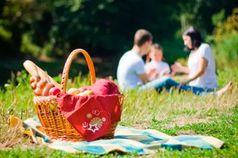 Familia haciendo picnic