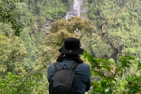 Persona contemplando una cascada