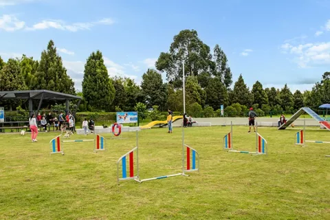 Vista alta de la escuela de adiestramiento