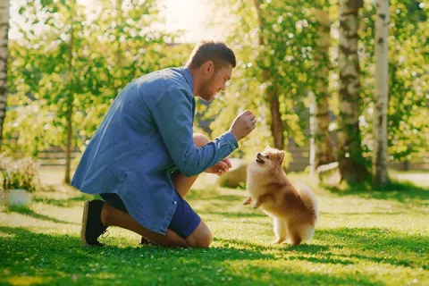 Hombre enseñando truco a perro