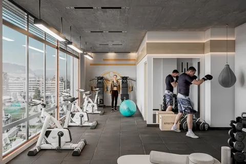 Zona de gimnasio