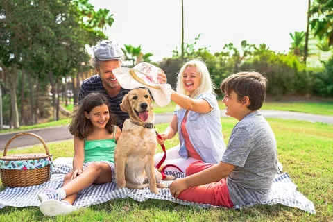 Familia en un picnic junto a su perro