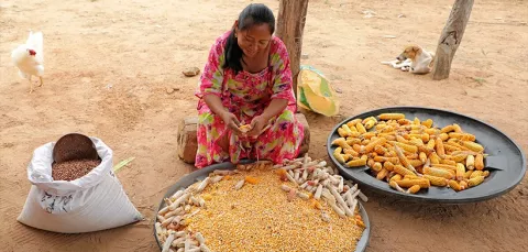 Sistema agroalimentario basado en agroecología