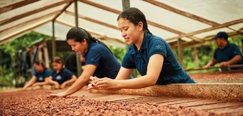 Apoyo a productores y organizaciones agrícolas