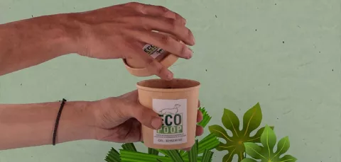 Biotransformación ecológica de residuos