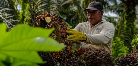 Agricultores en la gestión y desempeño ambiental