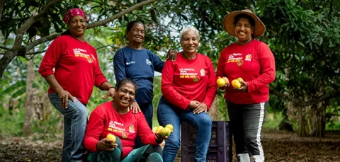 Abastecimiento sostenible de fruta