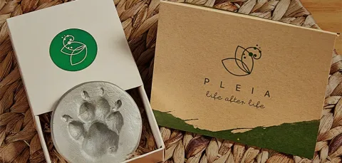 Servicios funerarios sostenibles para mascotas