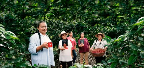 Empresa reconocida Procafecol