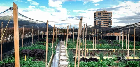 Sistema de agricultura urbana sostenible 