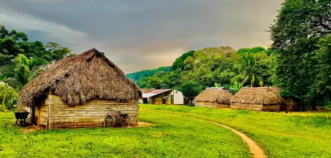 Reducción de emisiones y conservación de ecosistemas