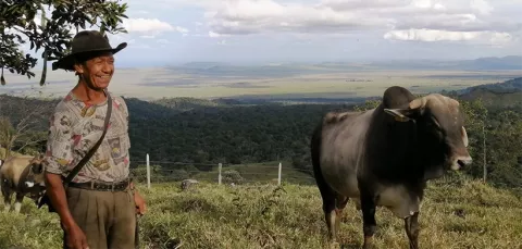 Modelo de reconversión de agroecosistemas