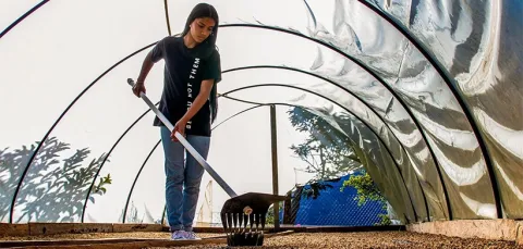 Empoderando las comunidades cafeteras