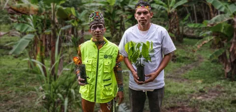 Empresa reconocida Saving The Amazon.