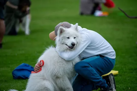 Disfruta de todos los espacios con tu mascota