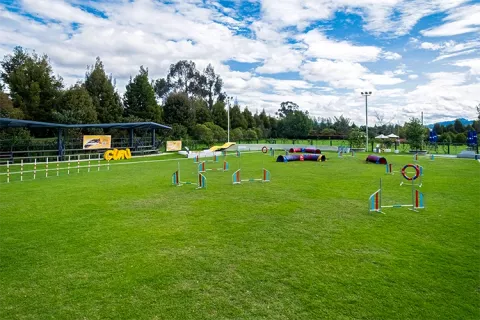 Pista de obstáculos parque canino