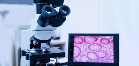 equipo médico de Salud Colsubsidio - patología digital
