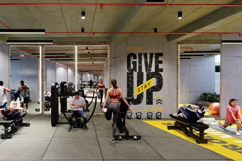 gimnasio proyecto de vivienda Zentral