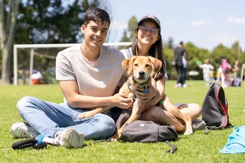 Espacios dogfriendly en el Club Bellavista