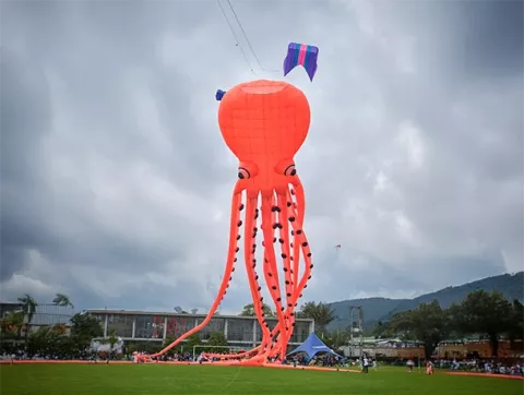 Cometas de gran formato en festival del viento Colsubsidio