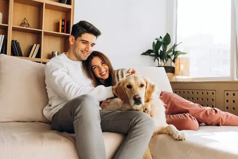 Calle de salida sobre seguros para mascotas perro o gato