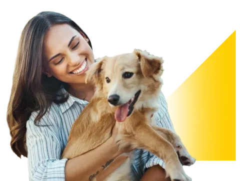 Seguros y asistencias para mascotas