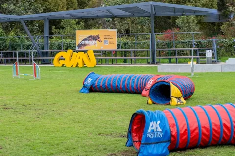 Escuela de adiestramiento canino de Colsubsidio