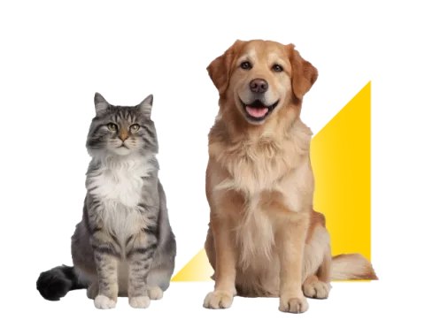 Medicina prepagada para mascotas