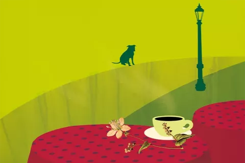 Portada del libro: La tregua
