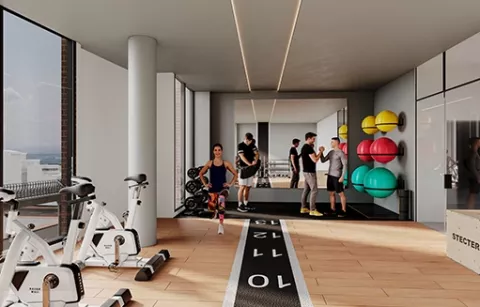 gimnasio proyecto Vibo one