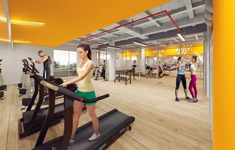 gym 