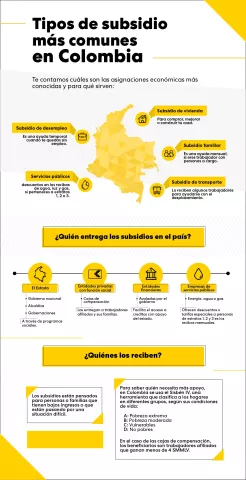 Infografía explica los tipos de subsidio en Colombia, sus otorgantes y beneficiarios.
