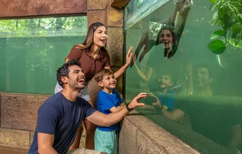 Familia visita Piscilago y su área de conservación
