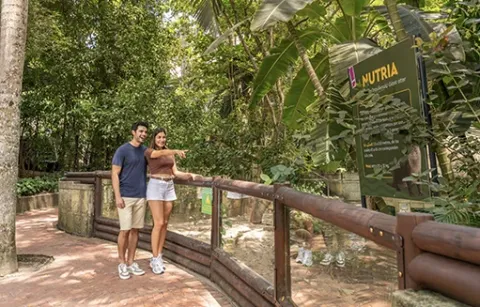PAreja visita el área de conservación de Piscilago