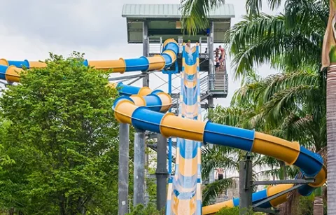 Tobogán de Piscilago muetras zonas verdes y atracciones acuáticas.