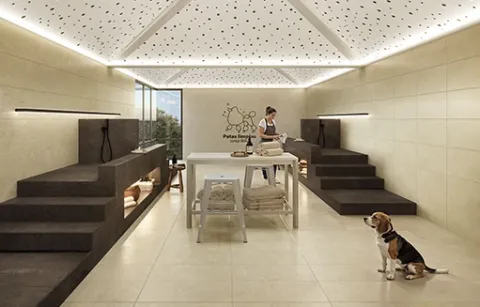 Pet spa de Altia muestra a un perro caminando por espacios para mascotas