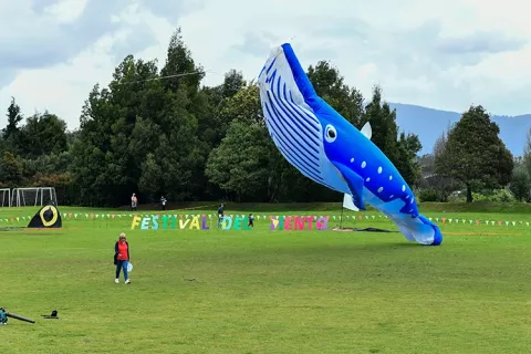 Cometas de gran formato en el festival del viento Colsubsidio