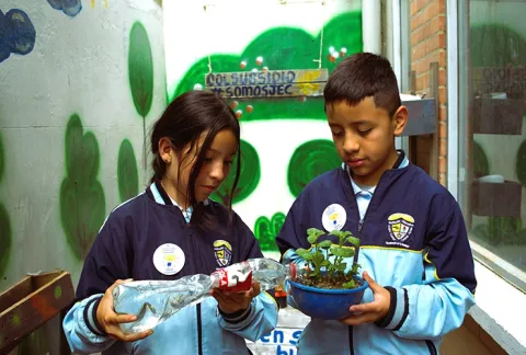 Niños plantan en su huerta estudiantil