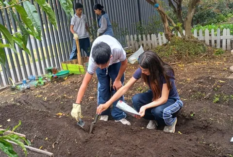 Niños están en clase de huertas en su colegio
