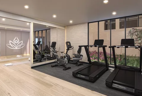 Gimnasio Abeto, muestra las máquinas de ejercicio y caminadoras.