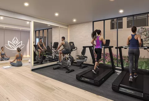 Gimnasio Abeto, muestra personas ejercitándose en las máquinas.